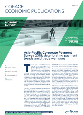 Asia-Pacific Corporate Payment Survey 2019