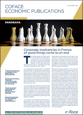 Corporate insolvencies in France