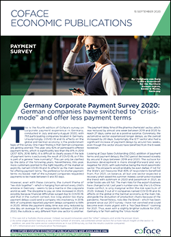 Germany Corporate Payment Survey 2020
