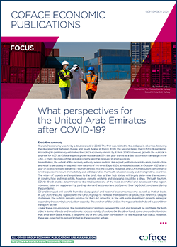 What perspectives for the UAE after COVID-19?