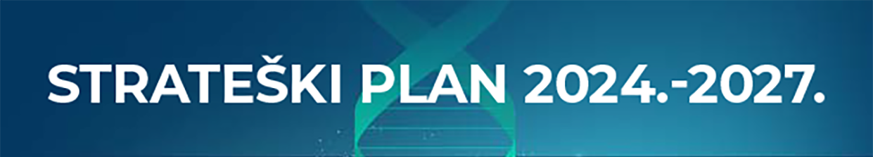 Strategic plan 2024-2027